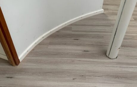 IMG_20250523_134622 (Large)